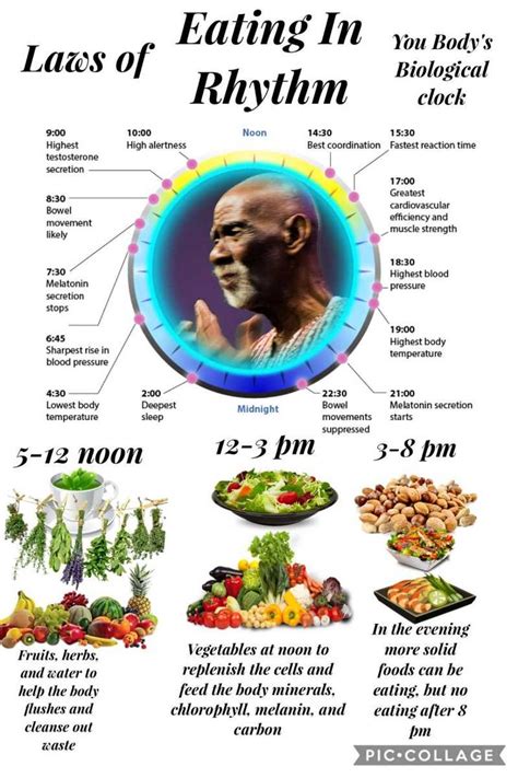 This guide is a. . Dr sebi eating schedule